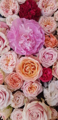Background image of roses.  Colored fresh pastel roses. Pink and white roses and hydrangea. Background image of roses.  Colored fresh pastel color flowers.