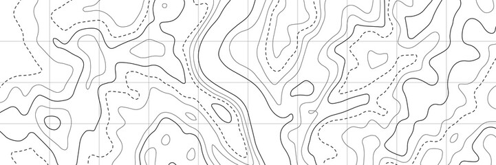 Topographic map. Topographical background. Linear graphics. Vector illustration.