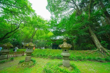 松島の寺の庭園