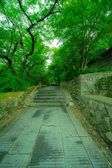 松島の寺の庭園