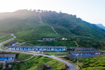Houses on top of hills