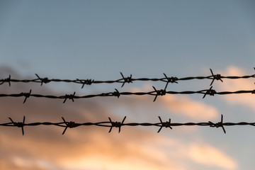 sunset behind the barbed wire in the evening of autumn - fence with sunset background - Sweden 