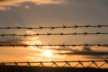 sunset behind the barbed wire in the evening of autumn - fence with sunset background - Sweden 