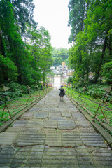 松島の寺の庭園