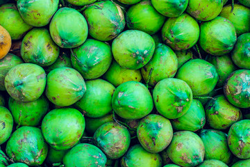 Ripe green coconut fruit