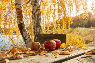 Autumn with apples by the lake - sweden