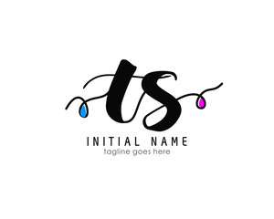 T S TS Initial brush color logo template vetor