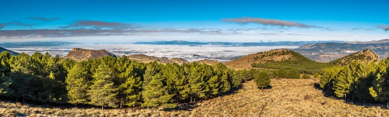 Sierra Nevada