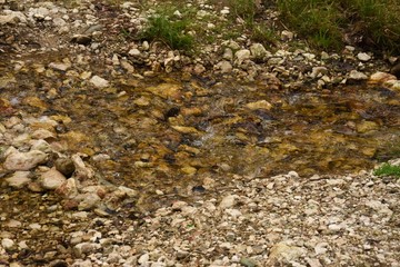 Close up of a flowing water (stream) in the forest.