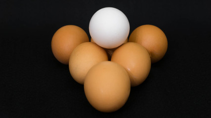 Natural Yellow and White Chicken Eggs on Black Background