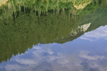 Green trees and a cloudy sky reflected in the lake water.