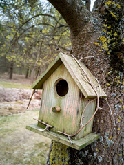 Bird house
