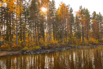 Autumn between villages  nature and water in Scandinavia.
