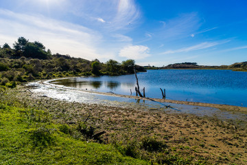 Dune lake