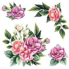Set of Watercolor Bouquets with Wild Roses, Buds and Leaves