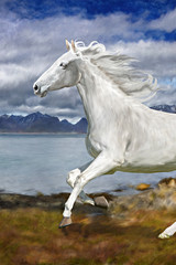 Naklejka na ściany i meble a white horse