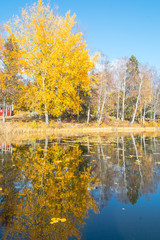 Autumn between villages, nature and water in Scandinavia