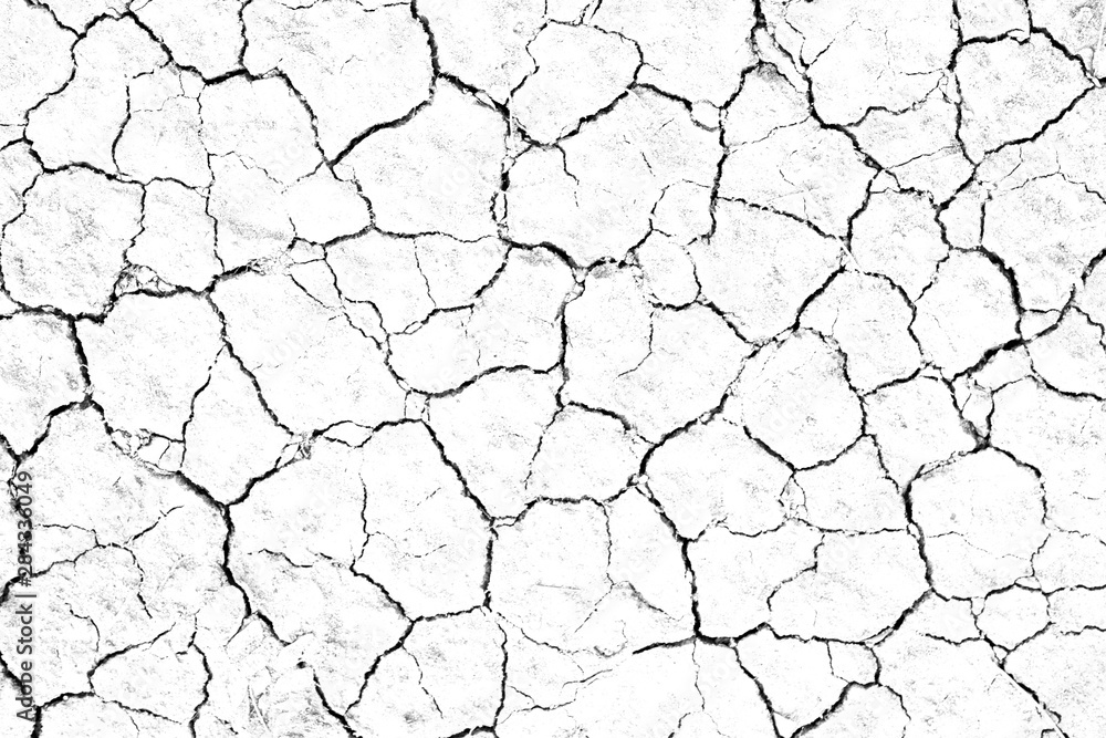 Wall mural Dry cracked soil texture, background barren of drought lack of water of nature white.