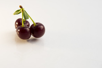 large ripe cherry berries on a white background with water drops green leaf and branch close-up