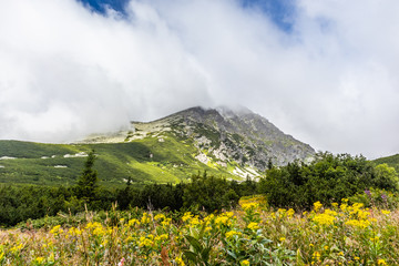 Dolina w Tatrach