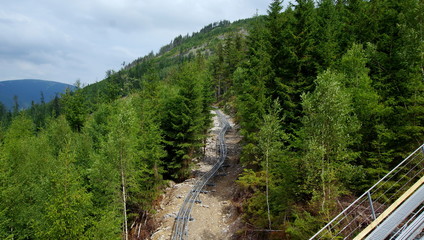 Rollercoaster among greenery in the Czech Sudetes