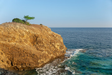 A single italian pine (parasol pine, umbrella pine, or known formally as Pinus Pinea) on a rocky edge cliff with blue clear sky background and Mediterranean Sea with waves below.
