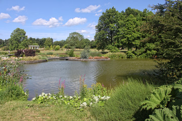 Fototapeta na wymiar Teich im Botanischen Garten