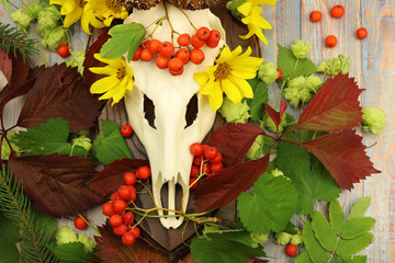 European roe deer skull decorated with flowers and leaves.