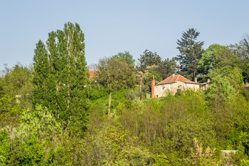 Obraz premium Lonely house in the woods on the hill