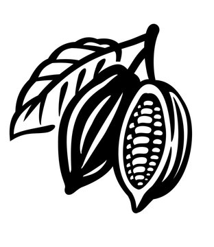 Cocoa Beans black Icon on white