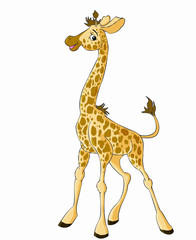 Obraz premium jolly funny cute kind giraffe stands cartoon