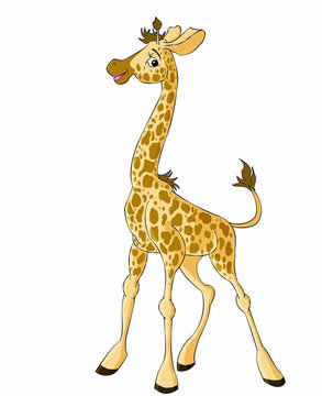 jolly  funny cute kind giraffe stands cartoon