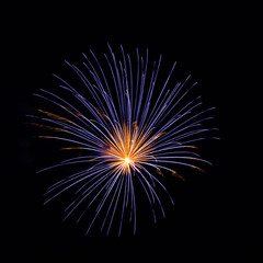 Purple, red, green, and gold fireworks explode during an Independence Day celebration in the United States.