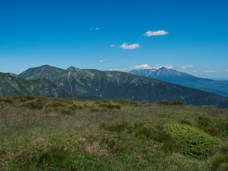 Beautiful mountain landscape of Western Tatra mountains or Rohace with hiking trail on ridge. Sharp green grassy rocky mountain peaks with scrub pine and alpine flower meadow. Summer blue sky