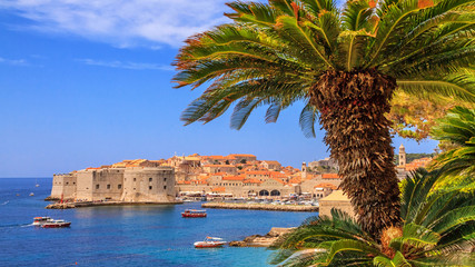 Coastal summer landscape - view of the palm trees on the background of the City Harbour of the Old...