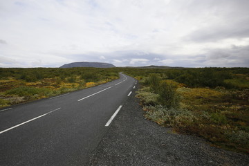 Fototapeta premium road in the mountains 아이슬란드 길 여행