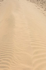 Footprints and patterns on a desert sand dune