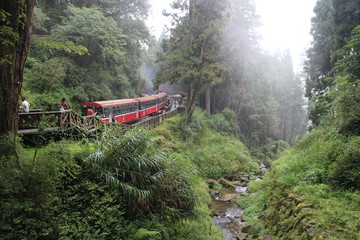 Fototapeta premium train in the mountains 대만 기차 여행
