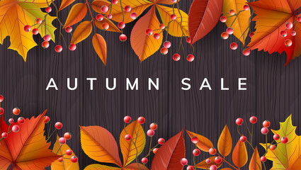 Horizontal frame for autumn sale, with dark wood background, yellow and orange leaf and red berry branch. Vector illustration for fall design, autumn sale discount or other template