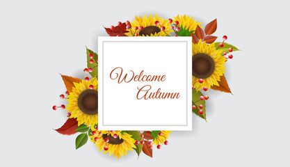 Square frame with colorful autumn plants, leaves, red berry branch and yellow sunflower. Vector illustration for fall season background, autumn template or other modern design