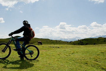 Obraz premium man with an electric bike, e-bike, ebike, observes mountains of Dolomites, Madonna di Campiglio, meadow, pasture, herd of cows grazing, summer, sport, travel, Alps, Trentino, Alto Adige, Italy