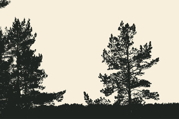 Fototapeta na wymiar pine tree and branches silhouette. detailed vector illustration