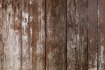Altes Holz, close-up Hintergrund, Farbe Braun Weiß.