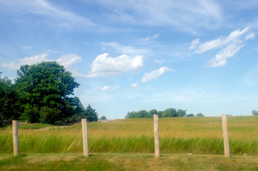 Fototapeta na wymiar Blue Sky and Field With Wooden Farming Stakes