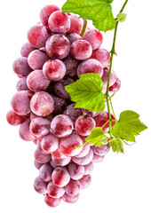 Fototapeta premium bunch of grapes isolated on white