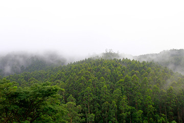 Jundiai
