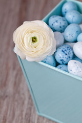 Easter Egg And Ranunculus Flower