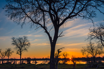 Fototapeta na wymiar Botswana. Okavango Delta. Khwai Concession. Sunset over the Khwai river.