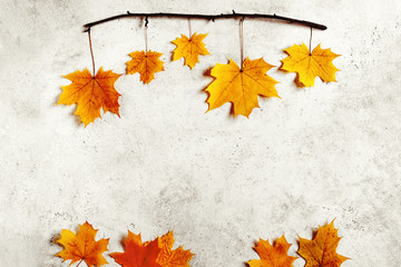 Yellow leaves flat lay