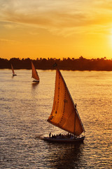 Fototapeta premium Three falukas with sightseers on Nile River at sunset, modern day Luxor, or ancient Thebes